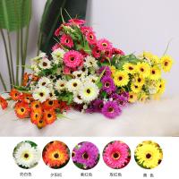 uploads/erp/collection/images/Home Garden/CongDing/XU0610443/img_b/XU0610443_img_b_3